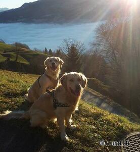 Kaya et Neo en tant que reporters