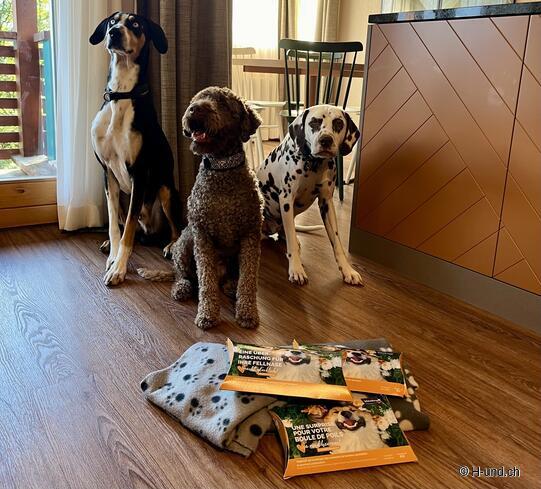 Surprise de bienvenue dans l'appartement de vacances Reka Hasliberg de Vitakraft.