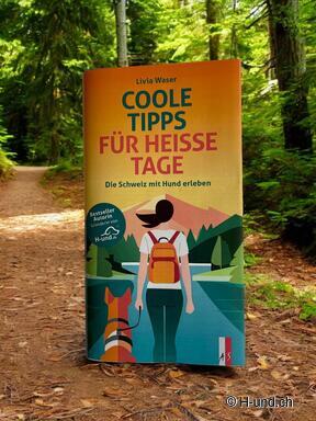 NEUES Hundebuch: Coole Tipps für heisse Tage!