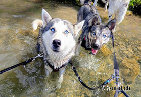 De belles opportunités de rafraîchissement en cours de route.